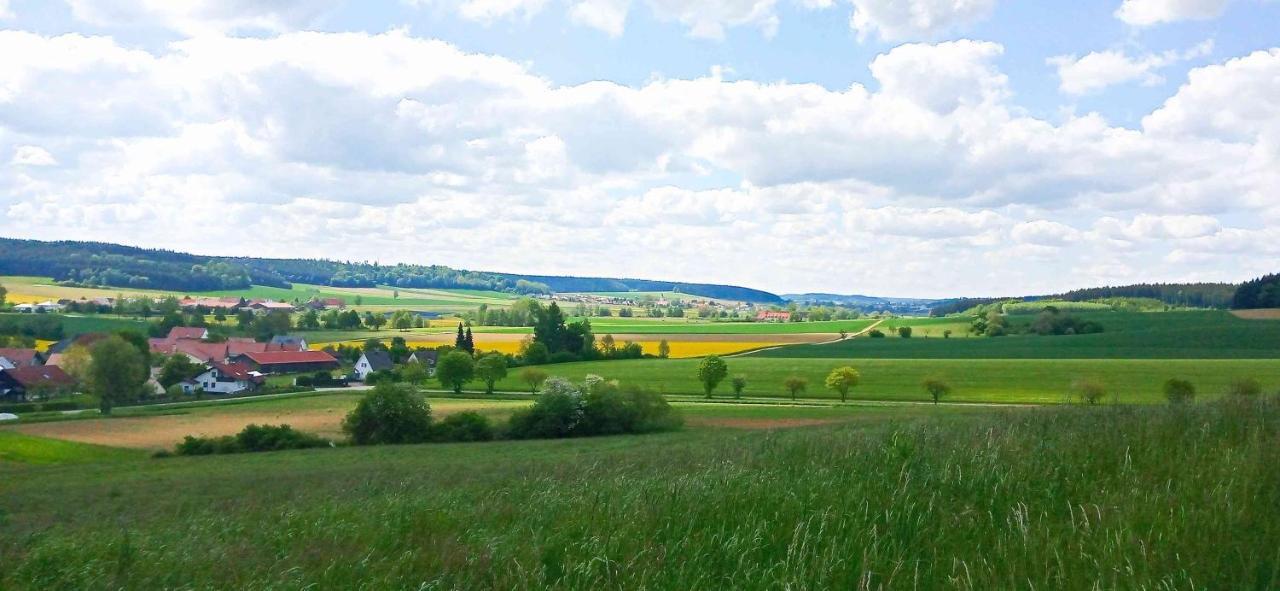 Ferienwohnung Im Barockwinkel Neuburg an der Kammel المظهر الخارجي الصورة